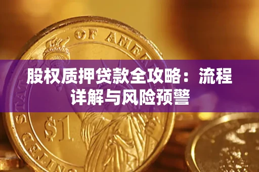 武汉股权质押贷款全攻略：流程详解与风险预警