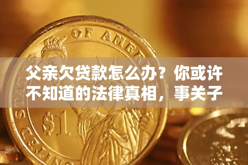武汉父亲欠贷款怎么办？你或许不知道的法律真相，事关子女未来
