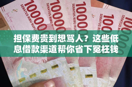 武汉担保费贵到想骂人？这些低息借款渠道帮你省下冤枉钱