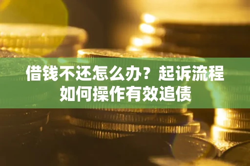 武汉借钱不还怎么办？起诉流程如何操作有效追债
