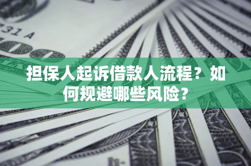 武汉担保人起诉借款人流程？如何规避哪些风险？