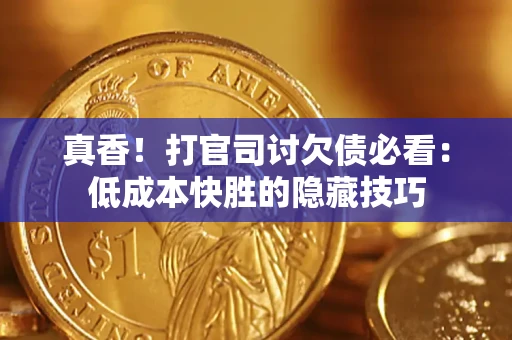 武汉真香！打官司讨欠债必看：低成本快胜的隐藏技巧