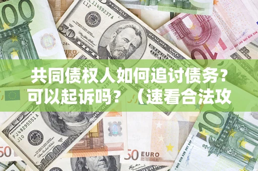 武汉共同债权人如何追讨债务？可以起诉吗？（速看合法攻略）